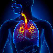 Respiratory Disease Image